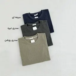 تیشرت مردانه کرکره ای | آی بولک