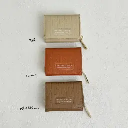کیف پول زنانه مار پیچ پرادا | آی بولک