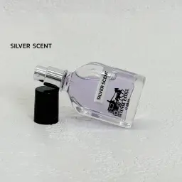 عطر اکستر 25 میل مردانه | آی بولک