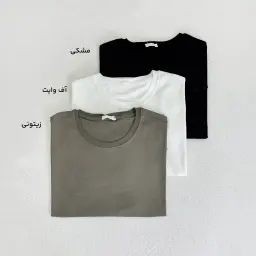 تیشرت مردانه بیسیک رنگی | آی بولک