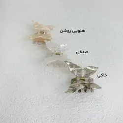 کلیپس زنانه پروانه | آی بولک